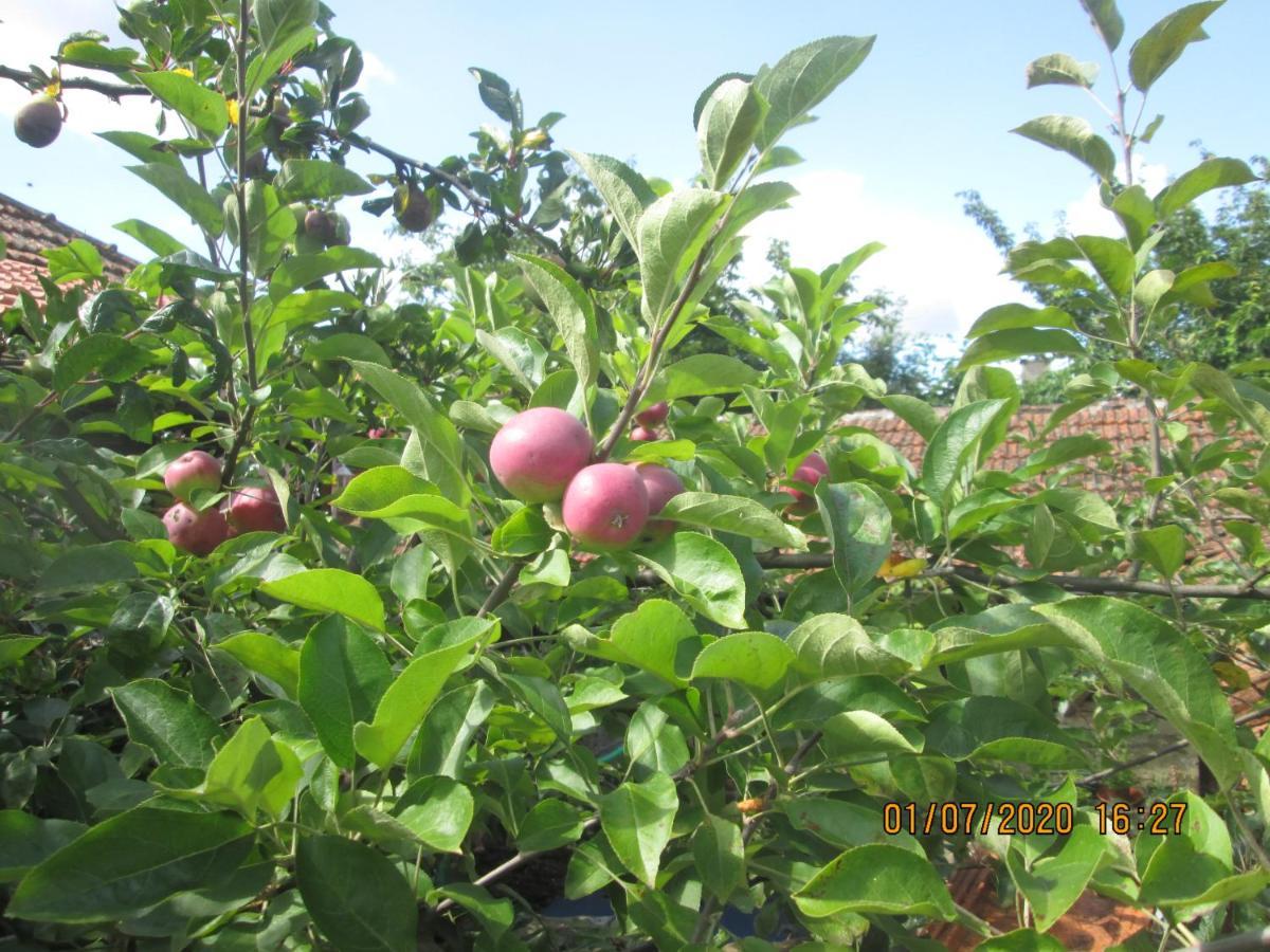 Farm stay Pessego - Al