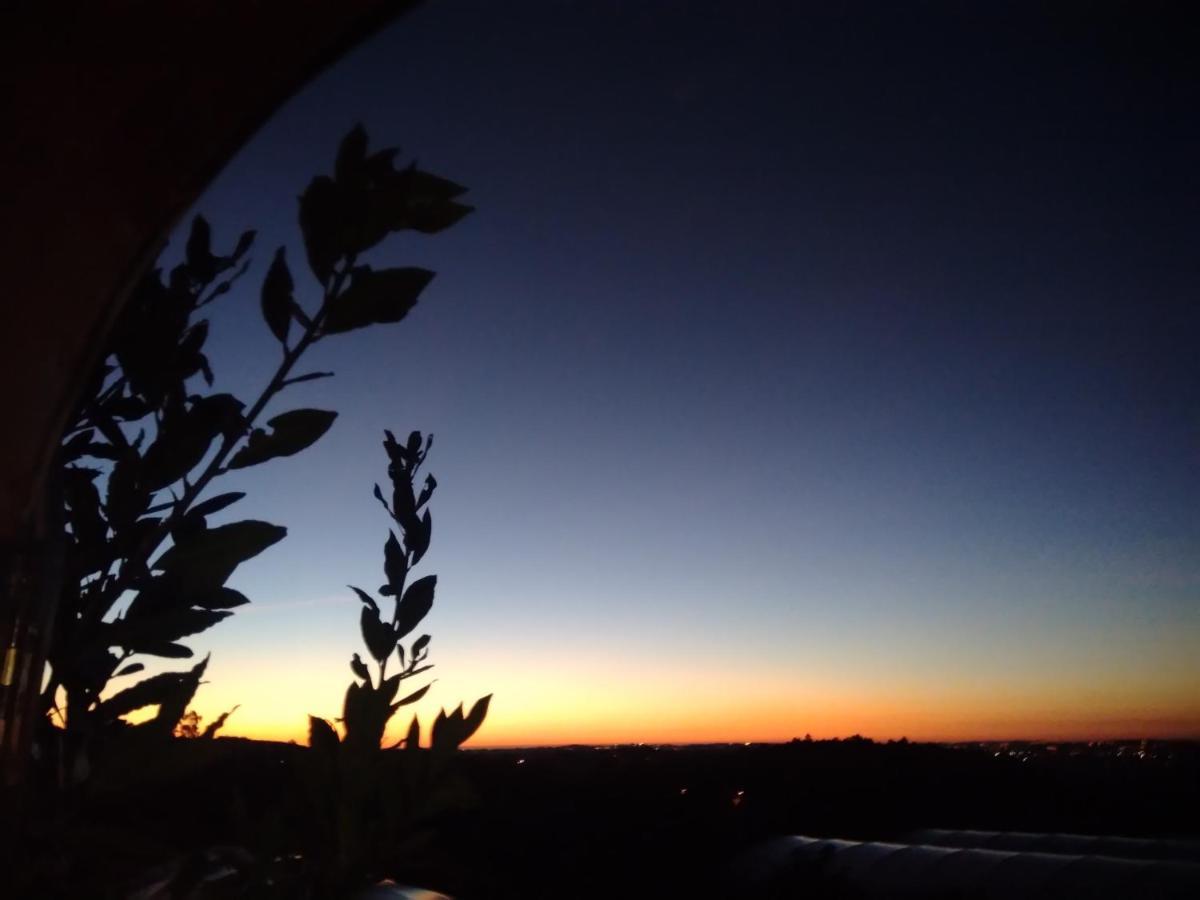 Farm stay Pessego - Al Arouca