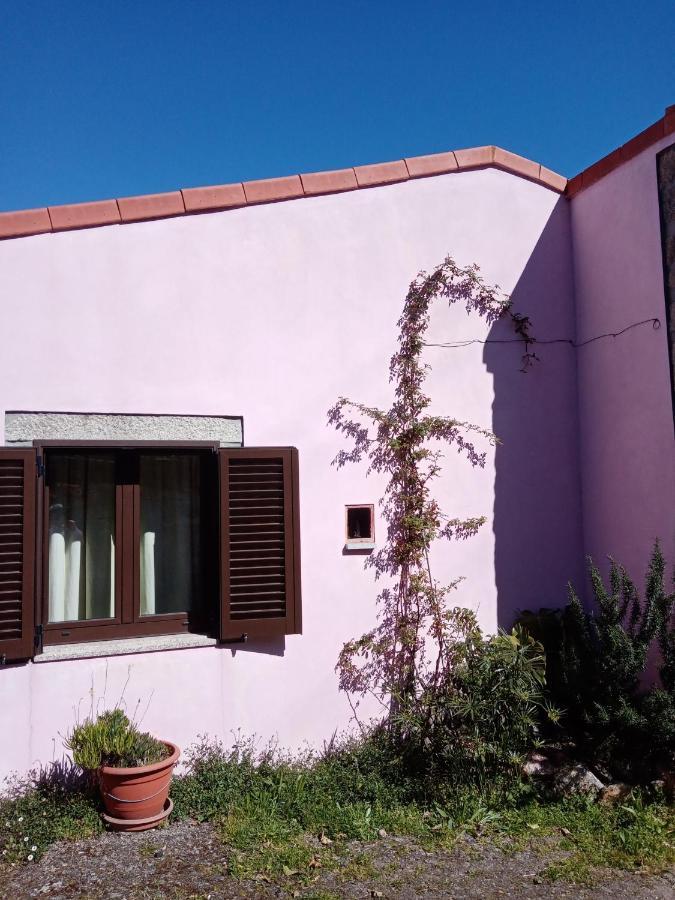 Pêssego - Al Alojamento de Turismo Rural *